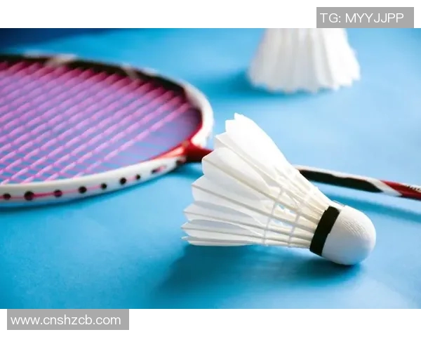 羽毛球比赛中的技术动作与战术配合分析与实践应用研究 羽毛球比赛中的技术动作与战术配合分析与实践应用研究